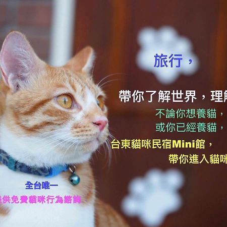 貓咪民宿Mini館-貓行為諮詢 Taitung 외부 사진
