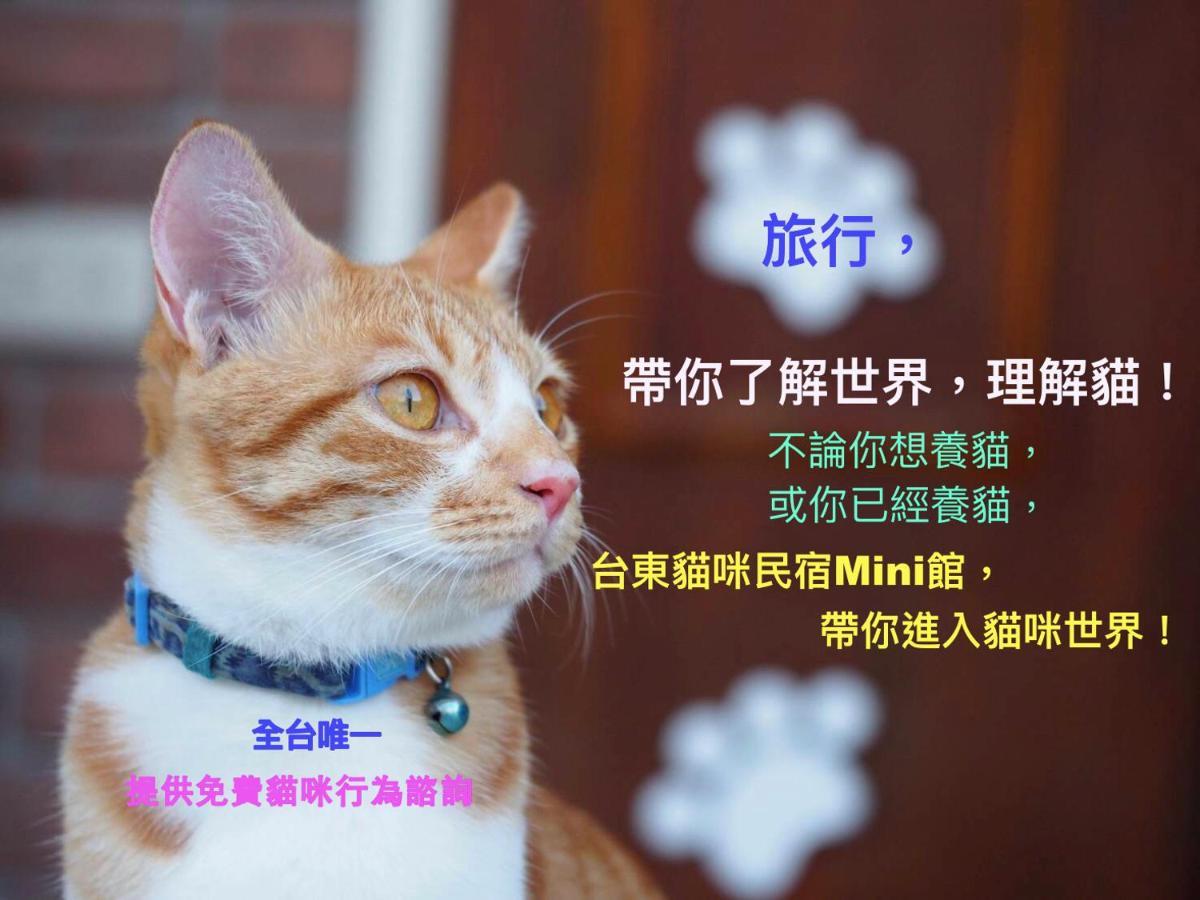 貓咪民宿Mini館-貓行為諮詢 Taitung 외부 사진