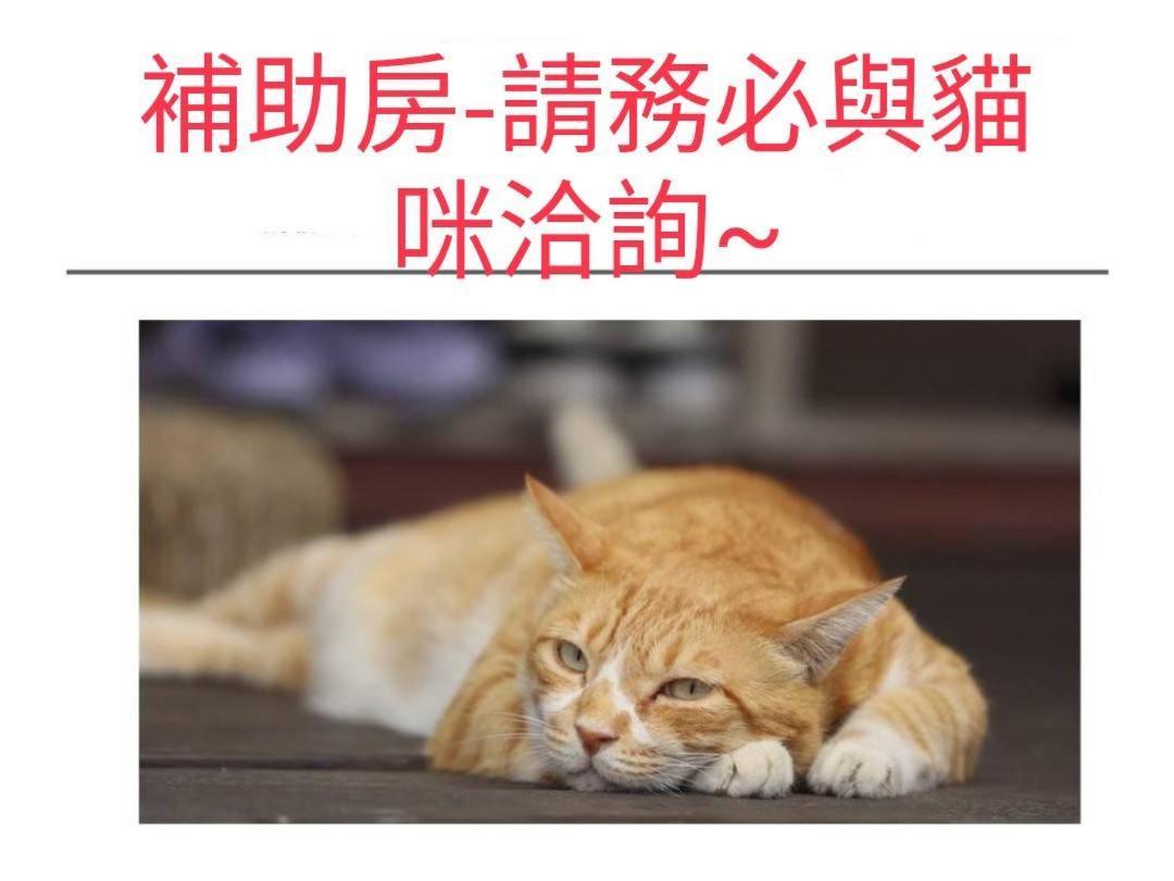 貓咪民宿Mini館-貓行為諮詢 Taitung 외부 사진